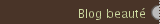 Blog beauté